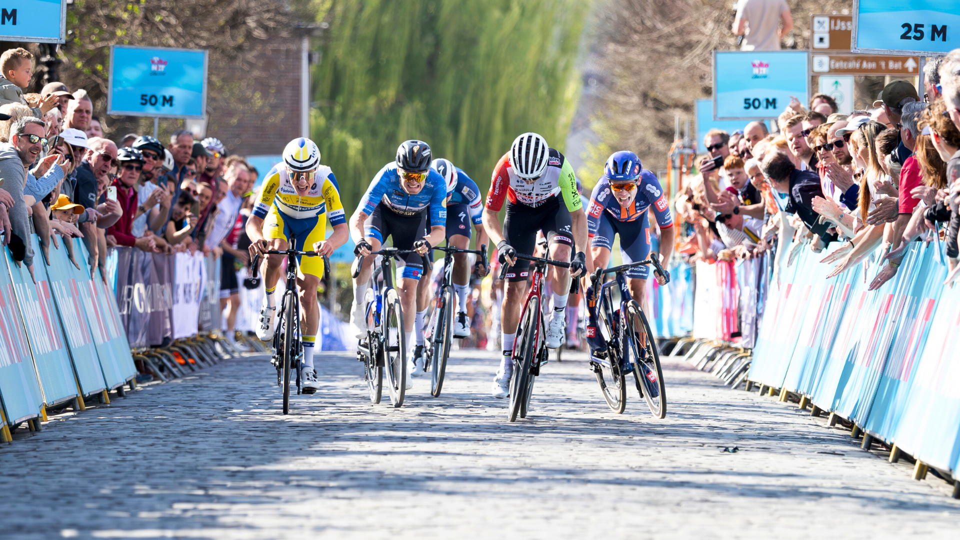 This image for Image Layouts addon